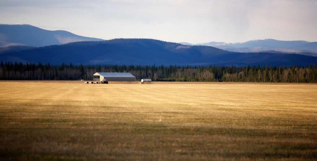 Ground Beef  Farm Fresh Junction